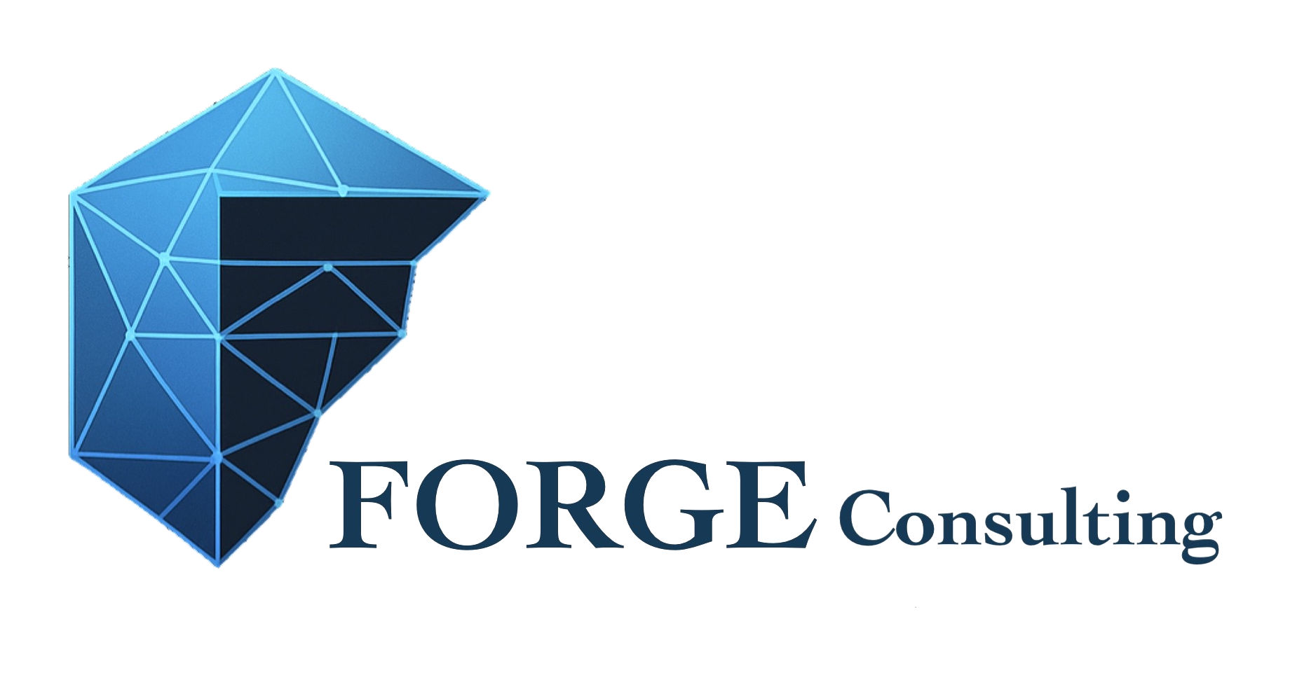 FORGE Consulting